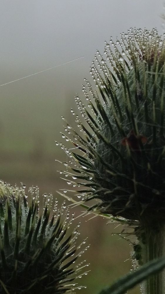 Photograph by Eлена Смирнова