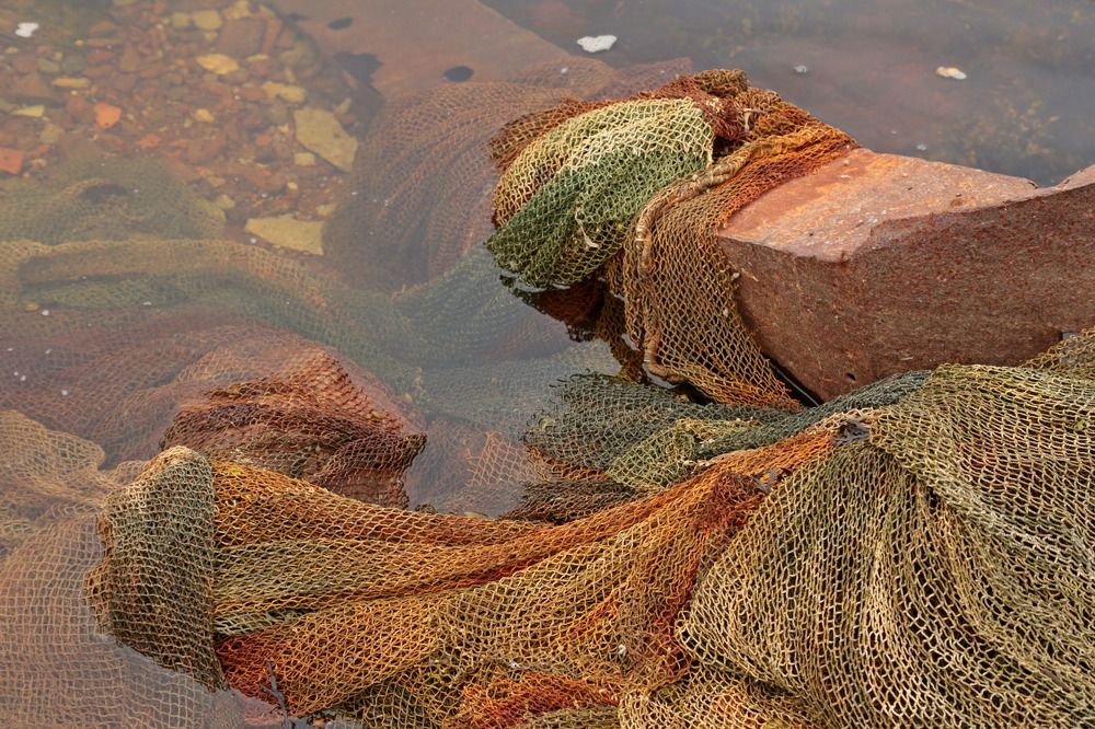 Фотография автора Александр Кожевников