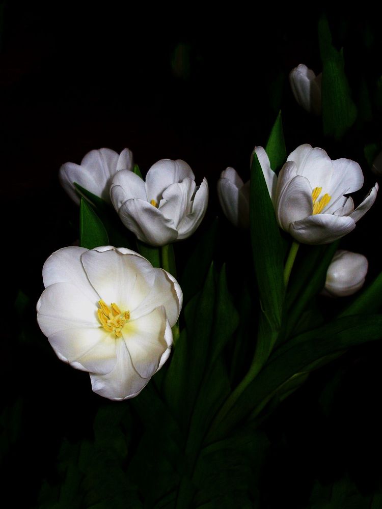 Photograph by Виталий Са