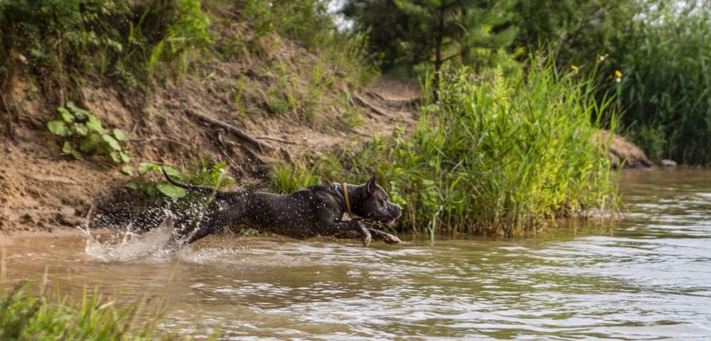Photograph by Анастасия Смирнова