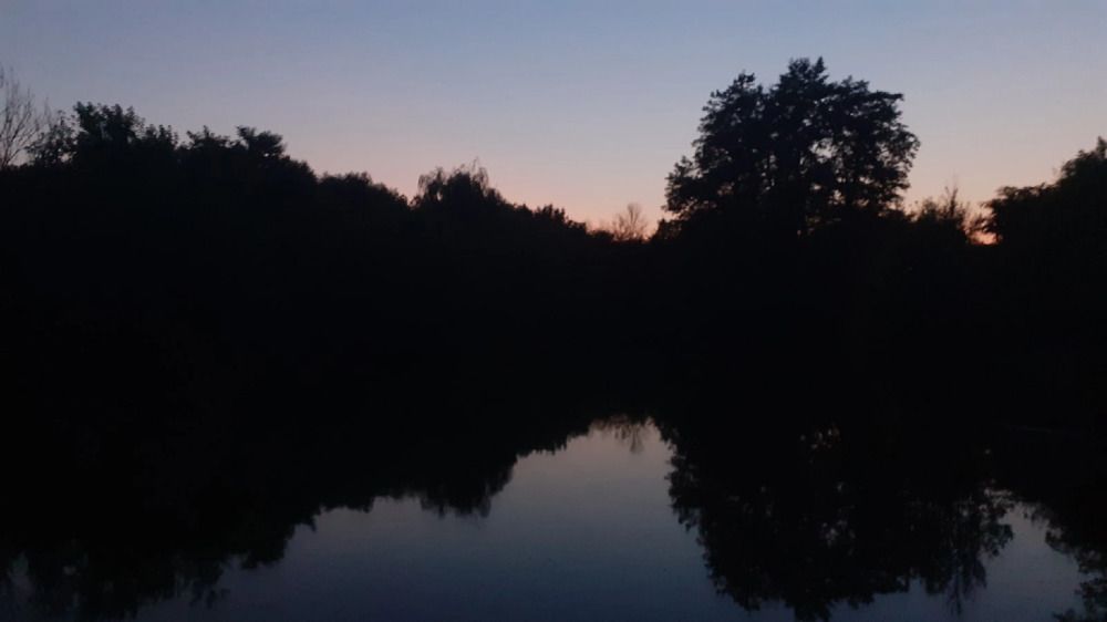 Photograph by Елена Лещева