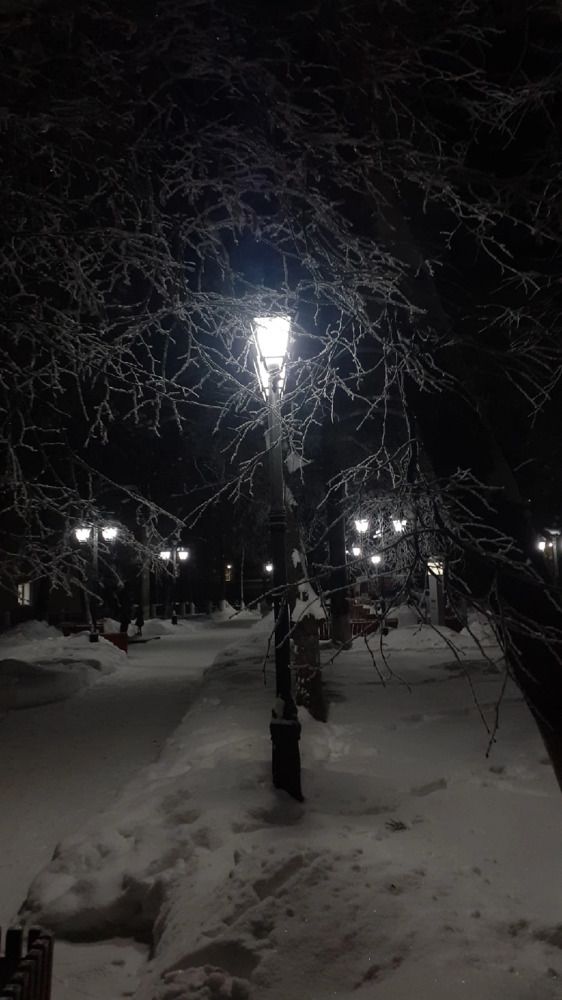 Photograph by Елена Лещева