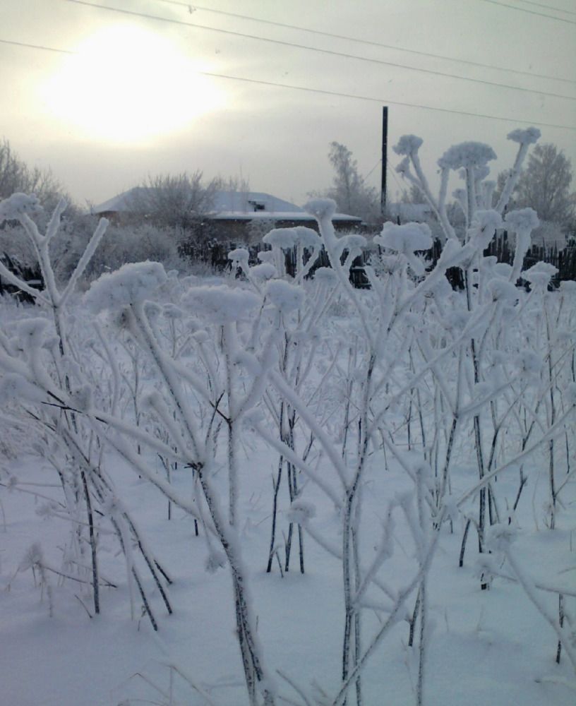 Photograph by Елена Лещева