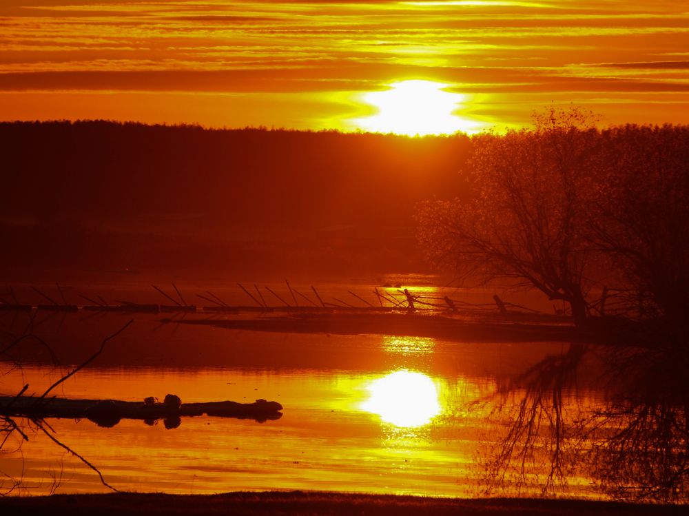 Photograph by Мария Корнилова