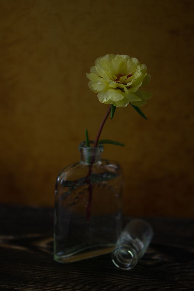 Photograph by Денис Ветренко