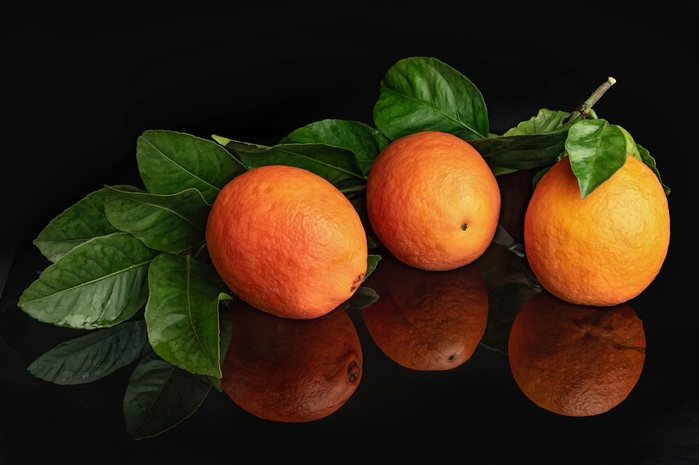 Photograph by David Lerer