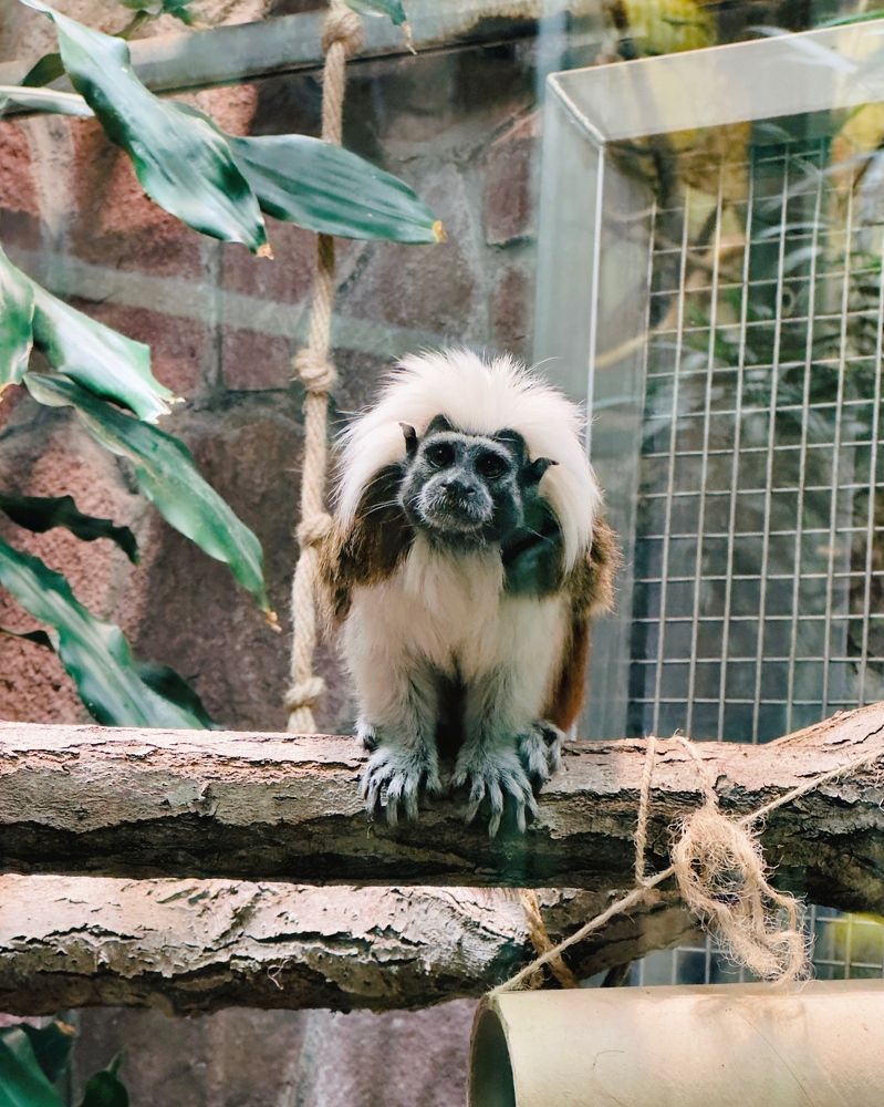 Photograph by Никита Петров