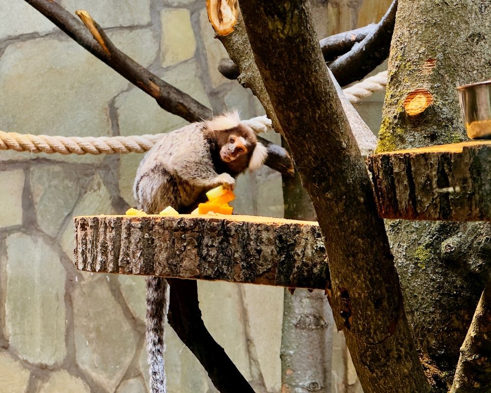 Photograph by Никита Петров