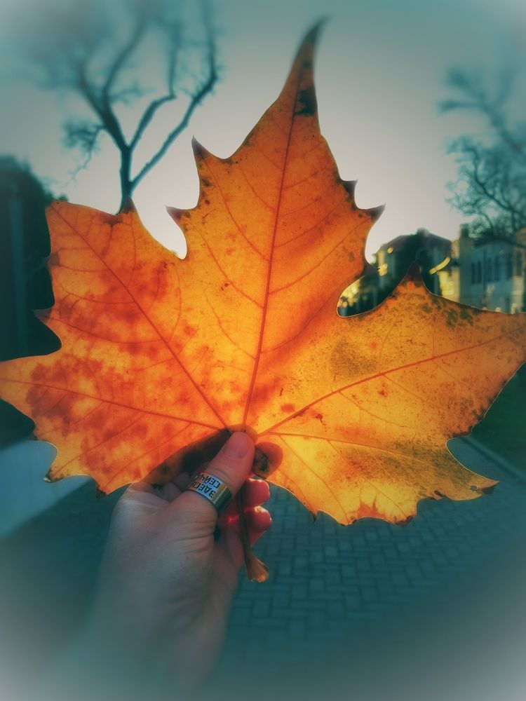 Photograph by Екатерина Мурсынина