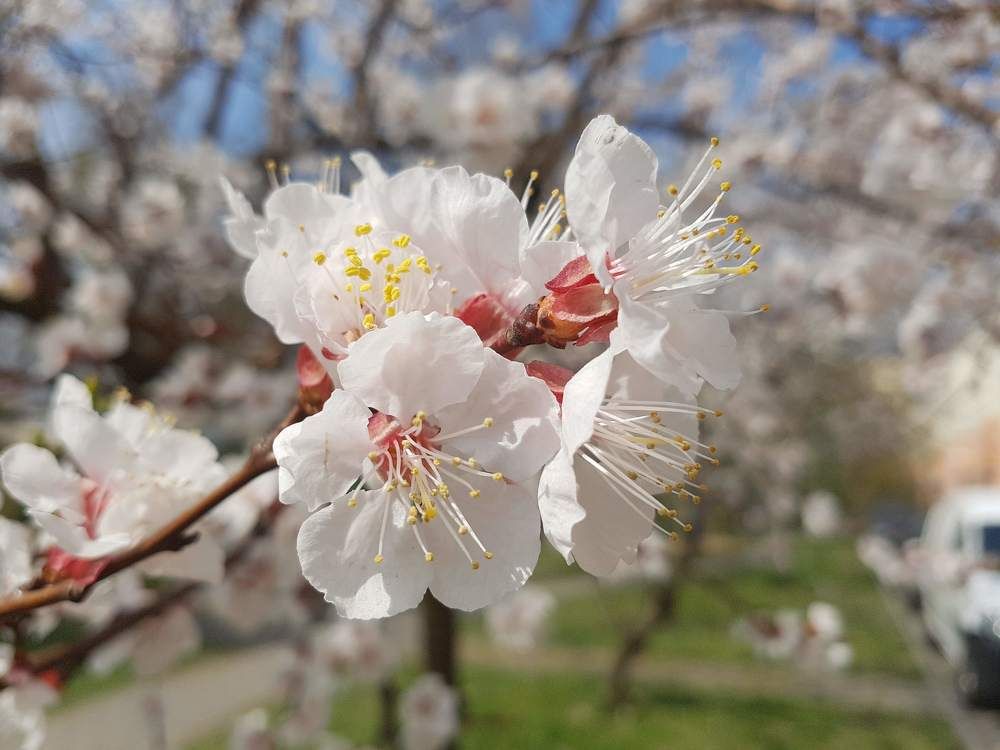 Photograph by Ирина Половцева