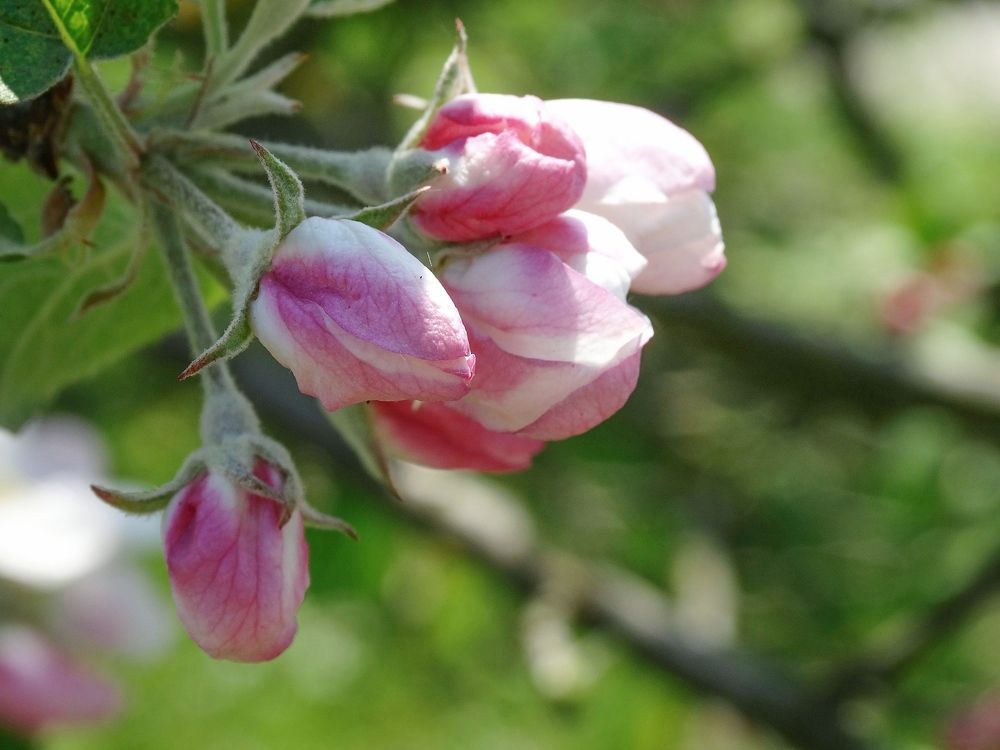 Photograph by Ирина Половцева