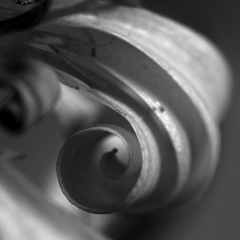 Photograph by Татьяна