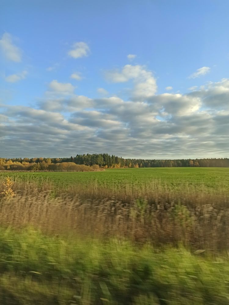 Photograph by Светлана Барабанова