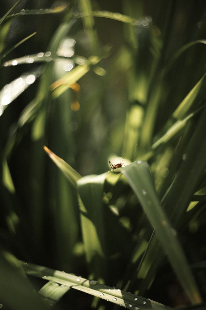 Фотография автора Евгения