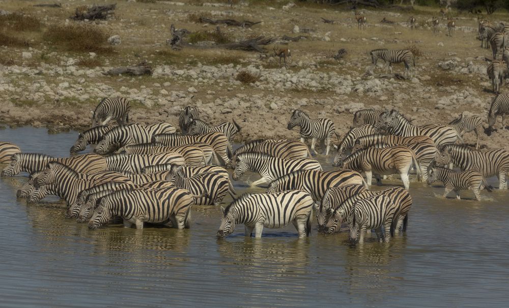 Photograph by Гайдабуров Сергей
