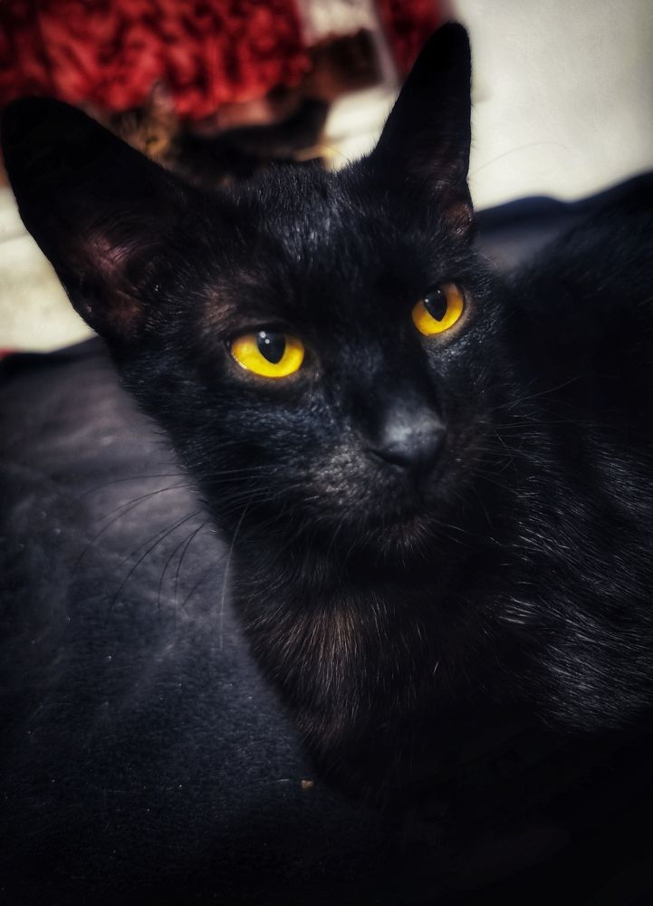 Photograph by Nikolett Mengyi