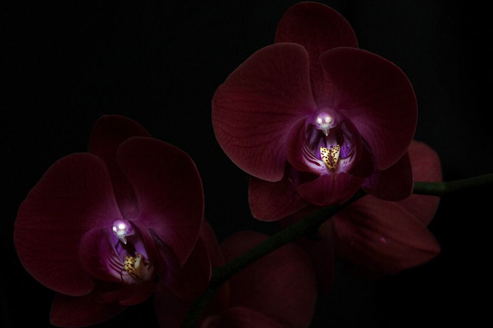 Photograph by Татьяна