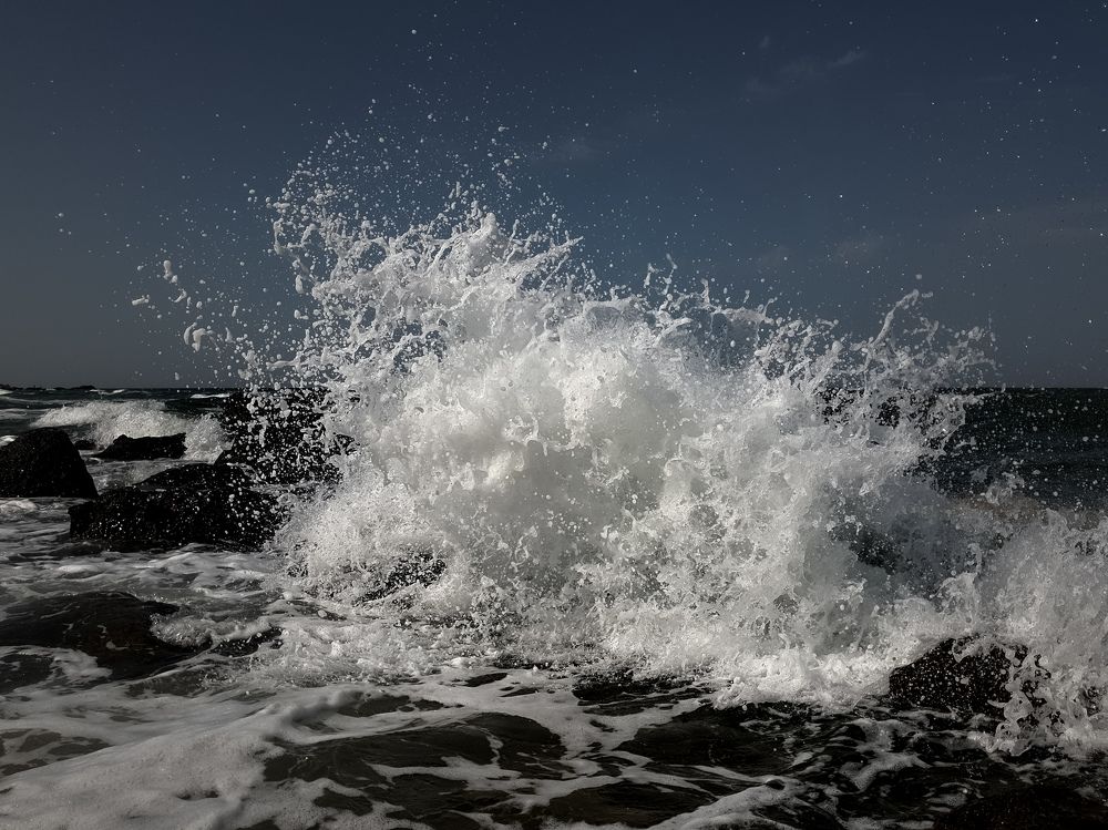 Photograph by Лариса Когтева