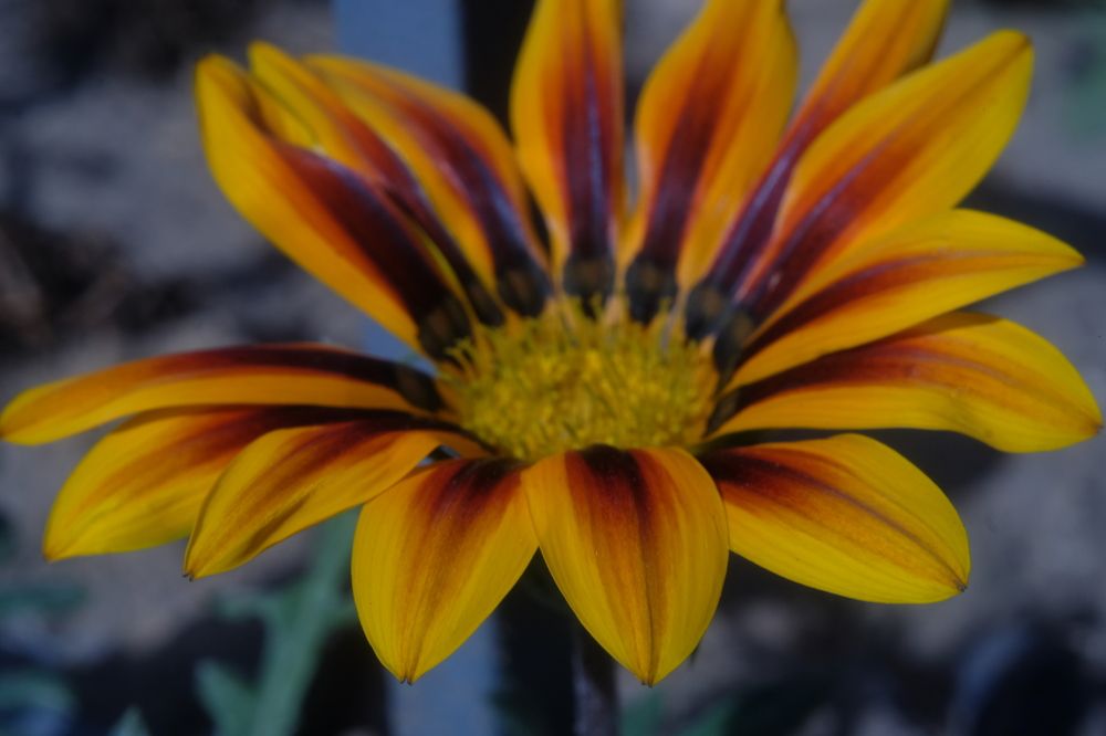 Photograph by Алёна Дёмочкина