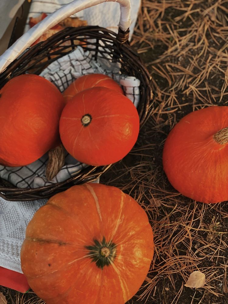 Photograph by Асель Бекбосынова