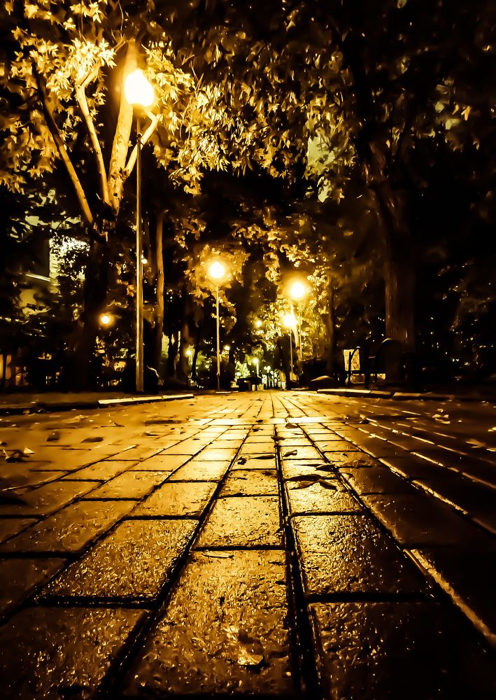 Photograph by Сергей Арямов