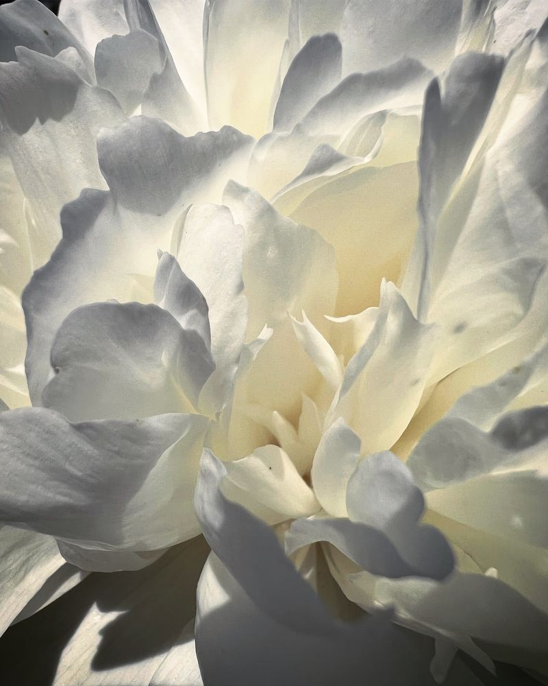 Photograph by Татьяна Волохова