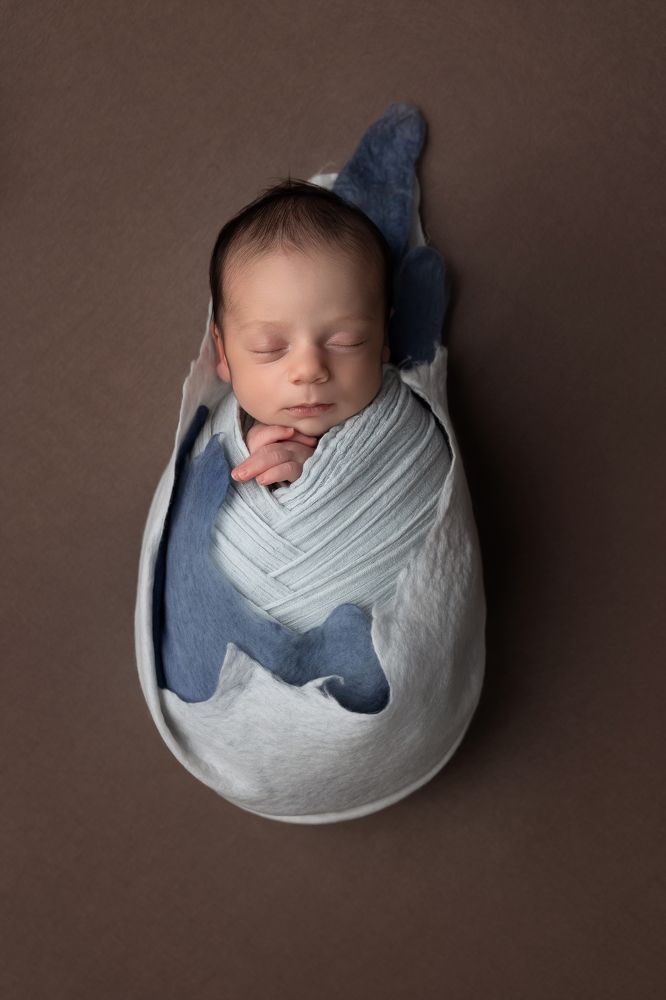 Фотография автора Limor David Samovich