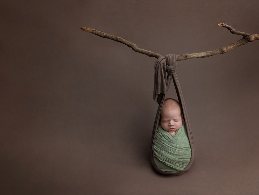 Фотография автора Limor David Samovich