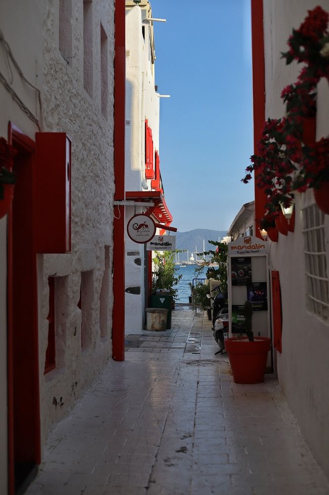 Фотография автора Елена Кириллова