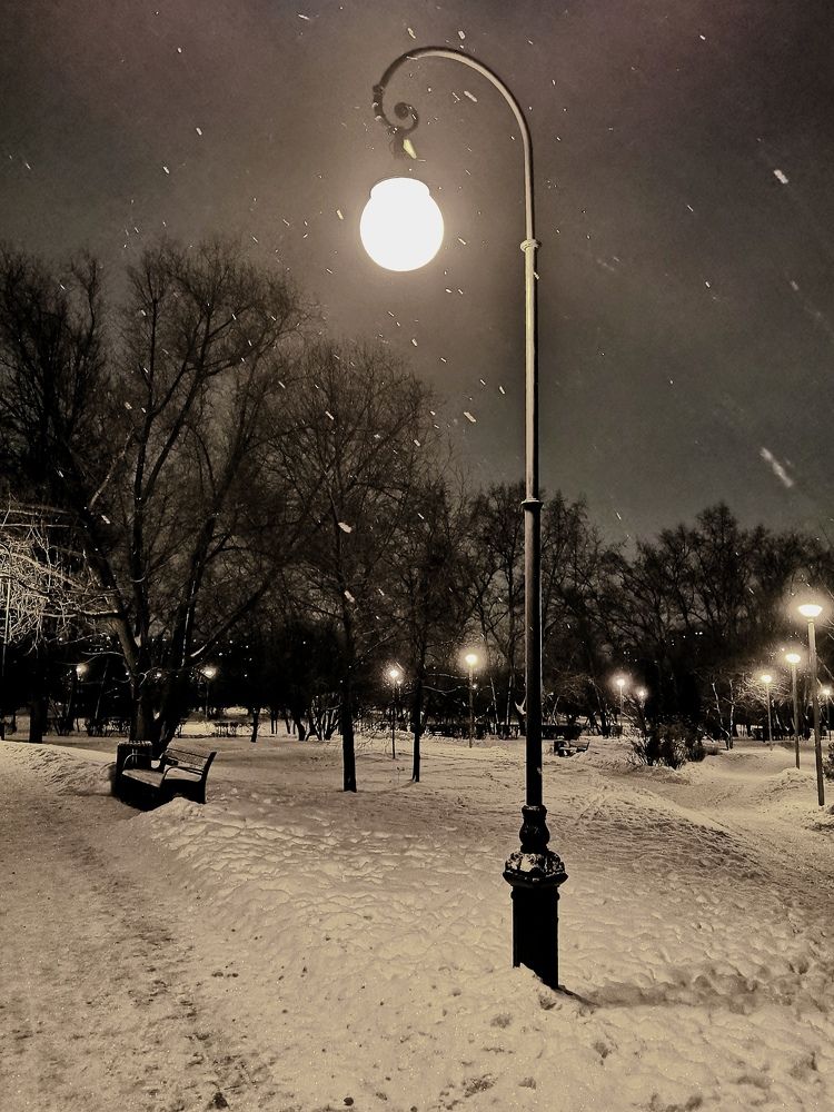 Фотография автора Сергей Можаев