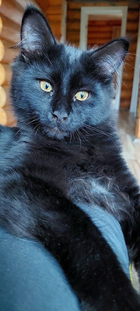 Фотография автора Сергей Можаев