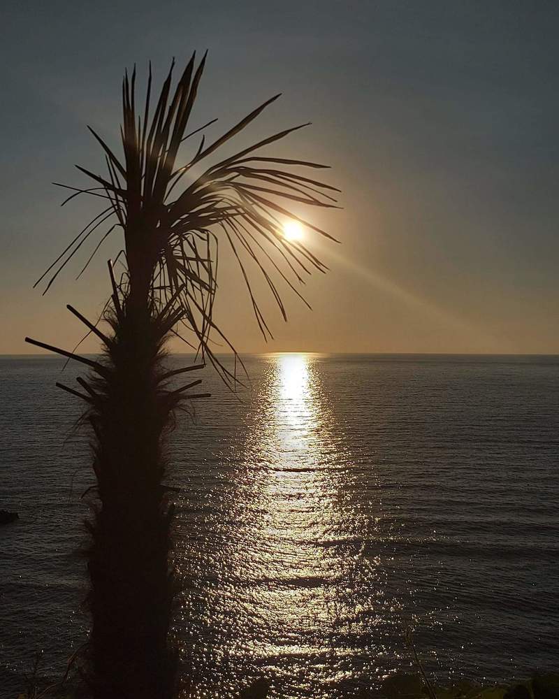 Photograph by Ламара Авалишвили