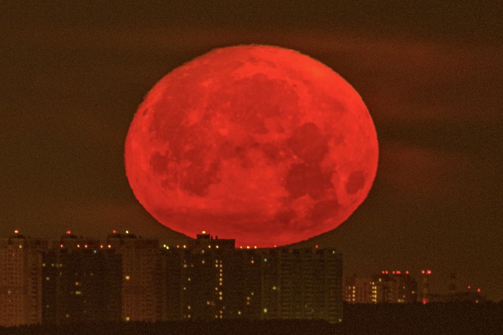 Photograph by Алексей Шевченко