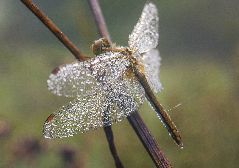 Photograph by Татьяна Титова