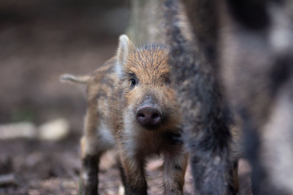 Photograph by Stipe Perkovic