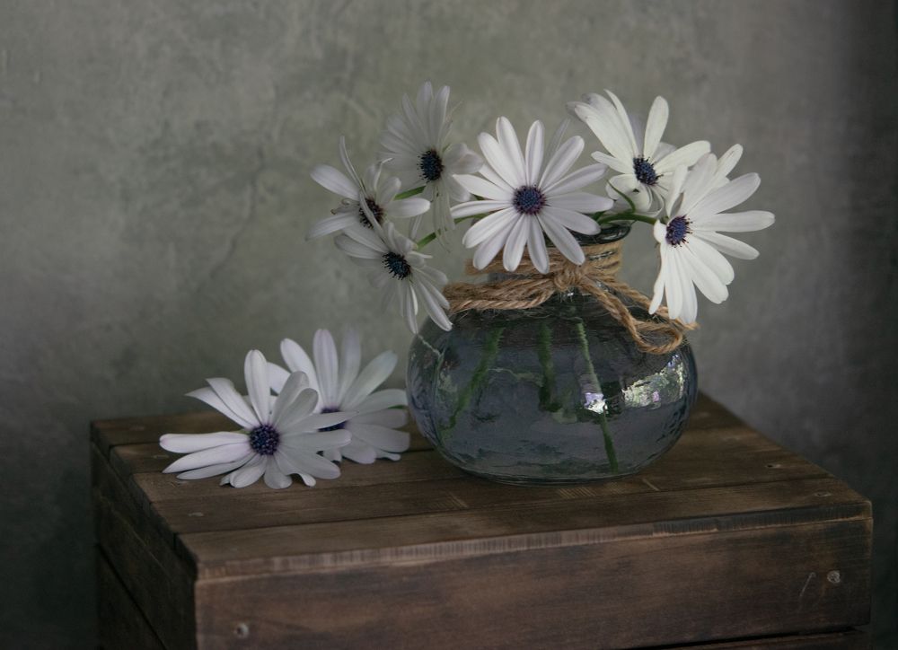 Photograph by Денис Ветренко