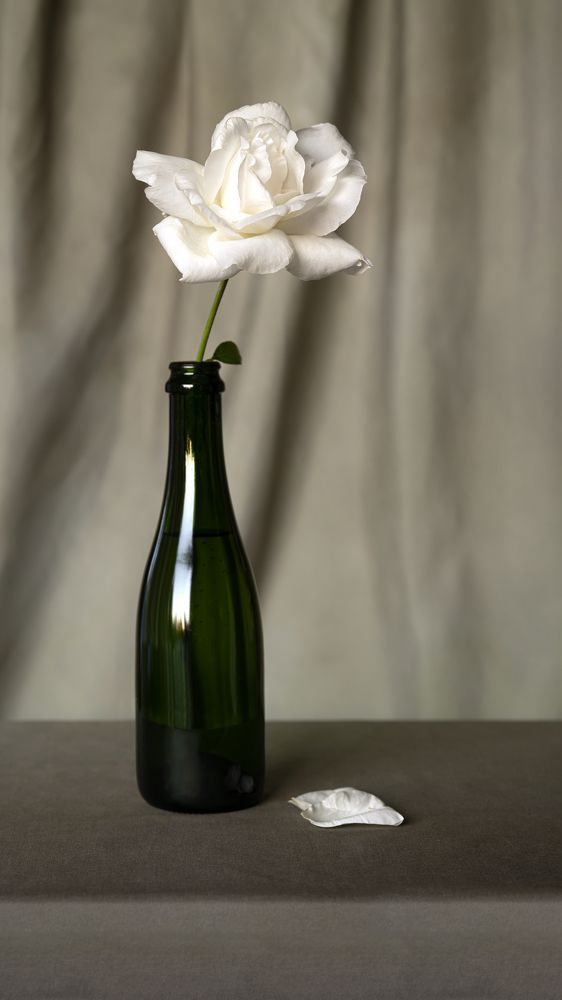 Photograph by Алина Еникеева