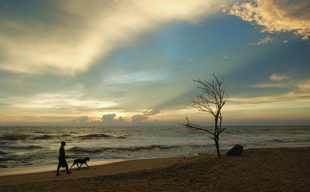 Photograph by Сергей Шварцман