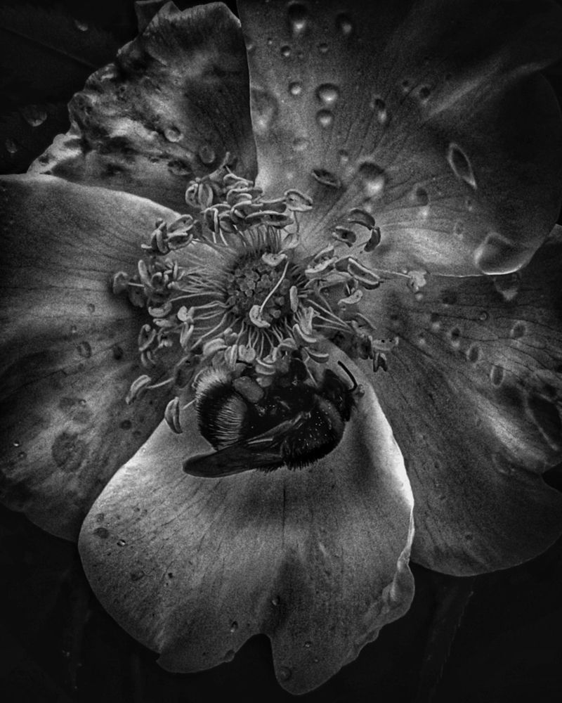 Photograph by Дарья Макаревич