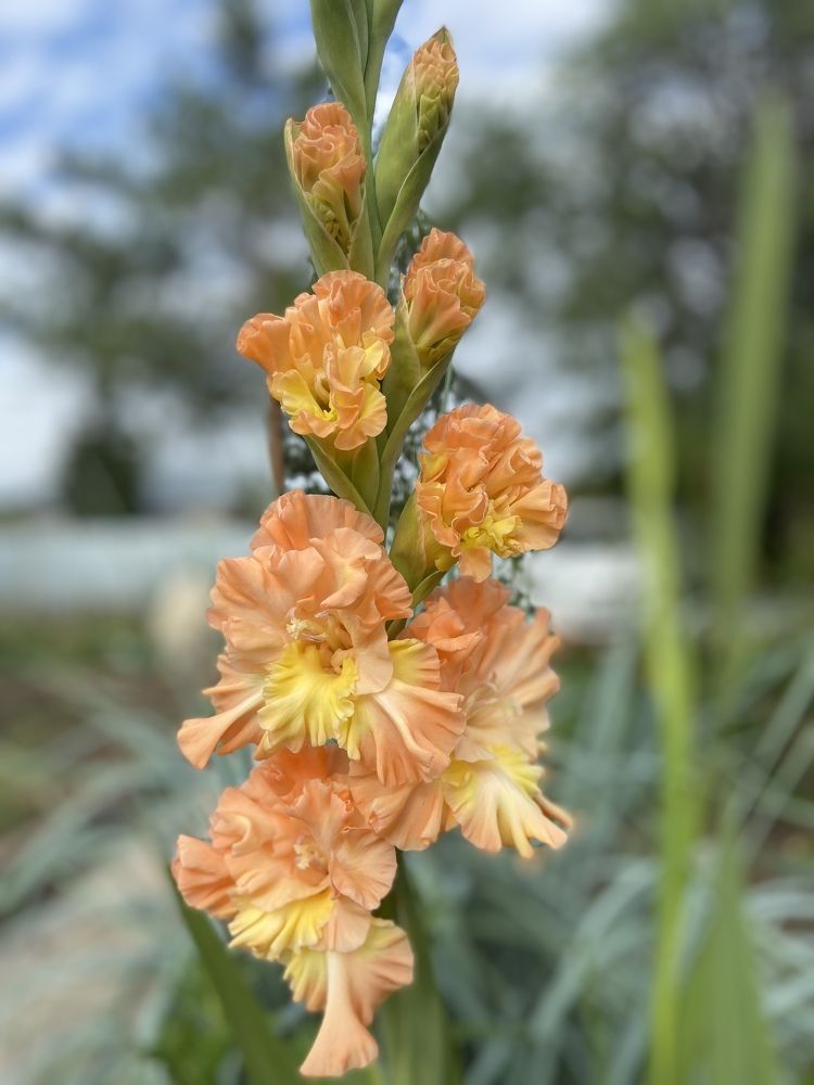 Photograph by Наталья Душакова