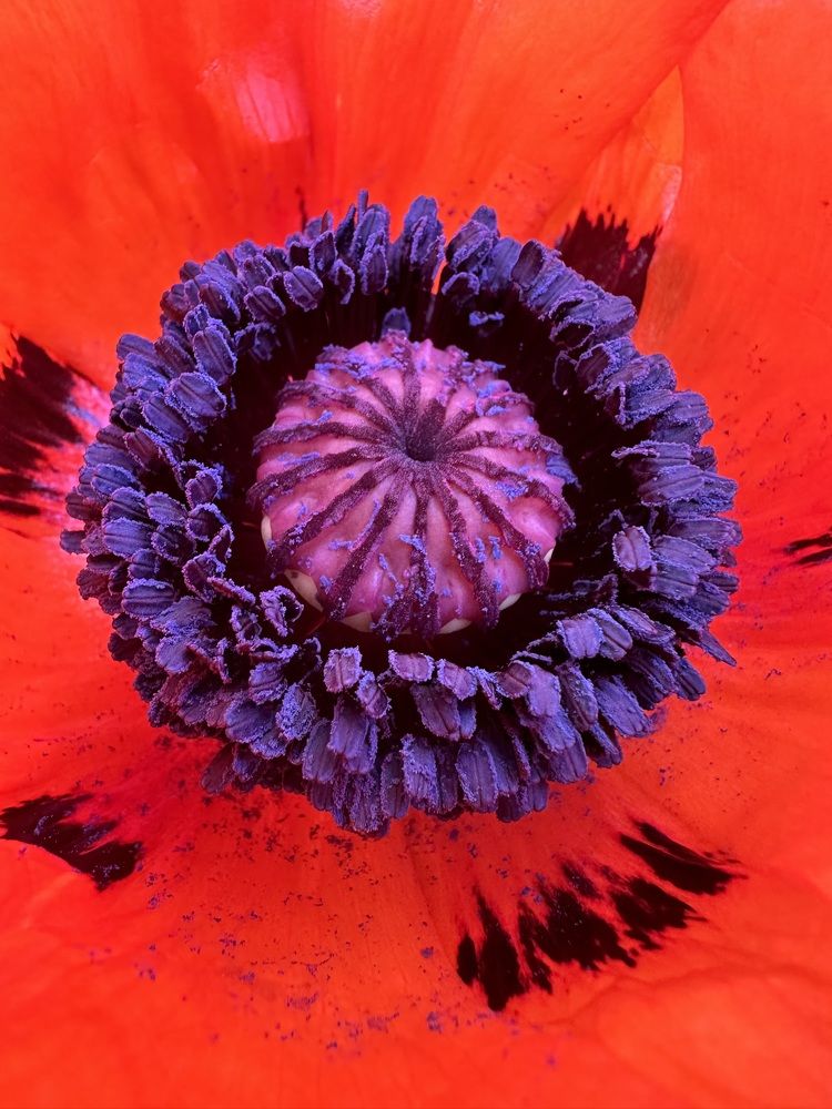 Photograph by Ольга Галкина