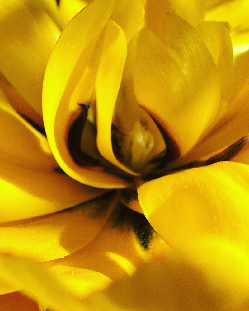 Photograph by Ольга Галкина