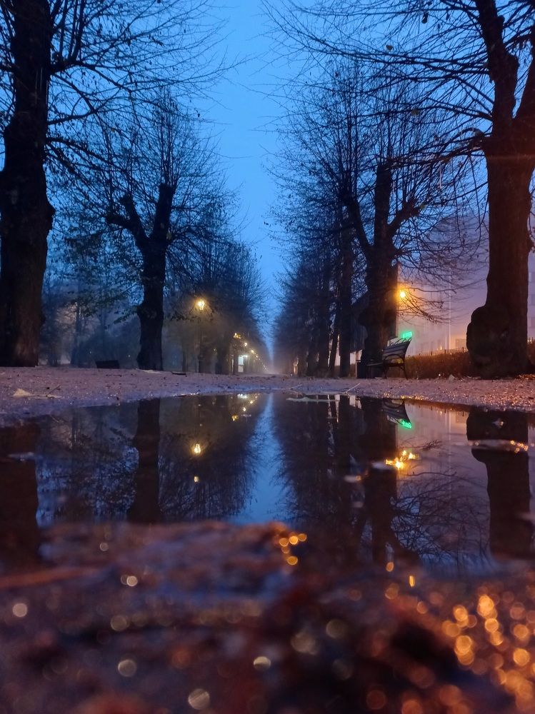 Photograph by Любовь