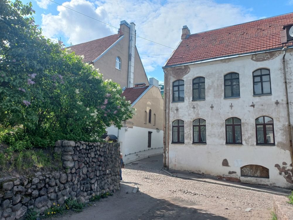 Photograph by Любовь