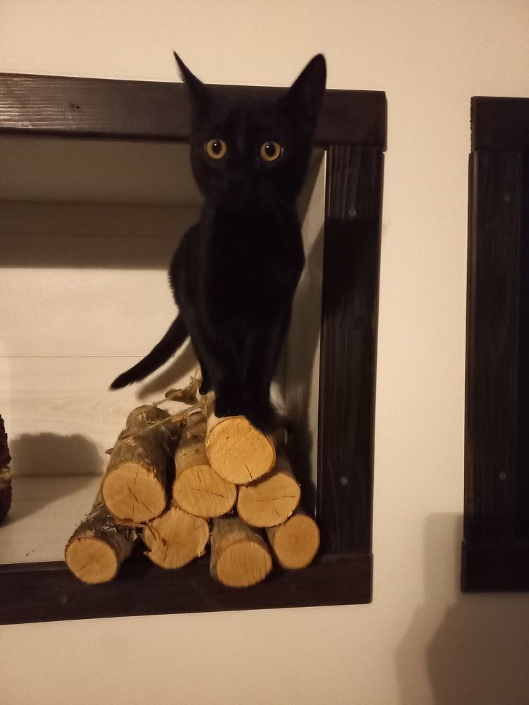 Photograph by Любовь