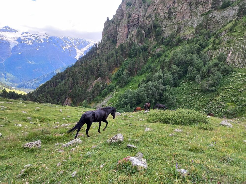 Photograph by Любовь