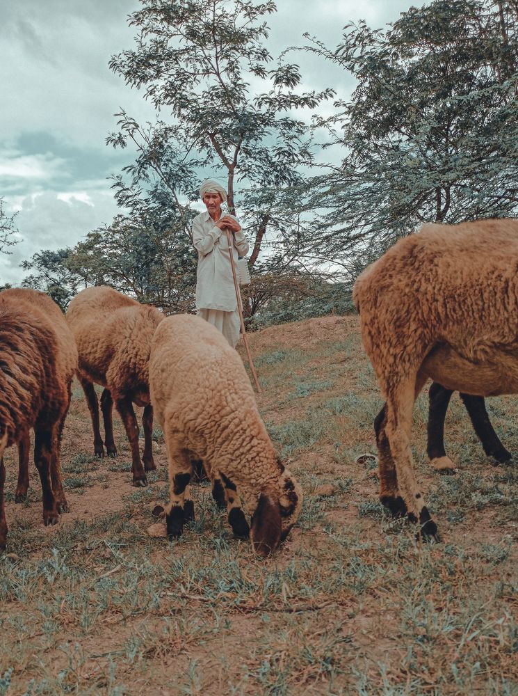 Photograph by Rushikesh Udawant