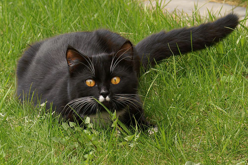 Photograph by Юрий Спасенников