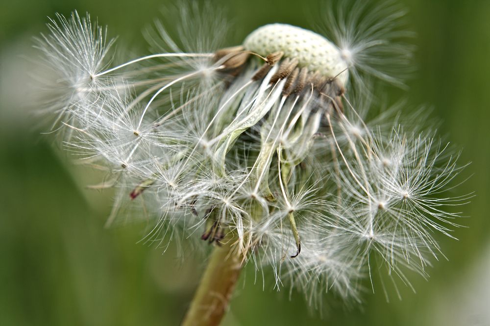 Photograph by Евгений Козлов