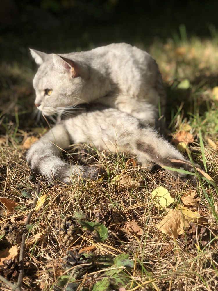 Photograph by Татьяна Тишкова